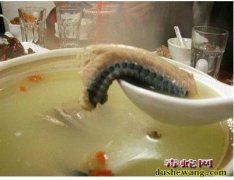 乌梢蛇的做法
