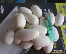 水律蛇养殖成本