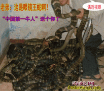 眼镜王蛇有多长