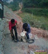 眼镜王蛇吃什么