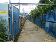 陕西养蛇场2【欢迎陕西优秀的养蛇场入...