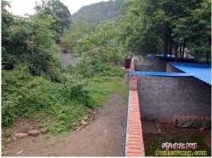 江西养蛇场1【欢迎江西优秀的养蛇场入...