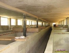 江西养蛇场2【欢迎江西优秀的养蛇场入...