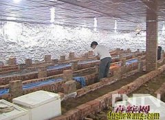 河北养蛇场2【欢迎河北优秀的养蛇场入...