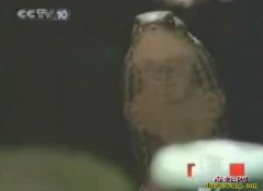 人与自然眼镜王蛇