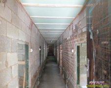 养蛇房建造图