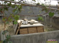 网上养蛇知识养蛇培训真假？