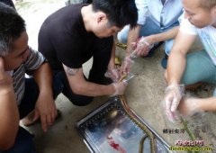 养蛇失败的几个误区