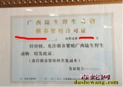 怎么办理养蛇证 养蛇许可证办理流程