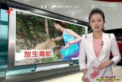 【放生毒蛇】不当放生屡屡造成困扰 放...