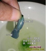 大王蛇蛇胆