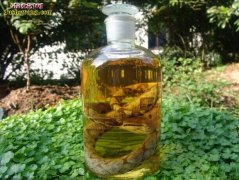 蕲蛇如何泡酒