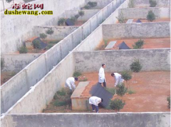 养蛇场秋季管理要点