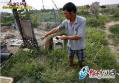 被毒蛇咬伤不治身亡新闻