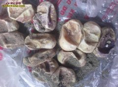蛇蛋一半孵不出 卖家赔偿3500条蛇...