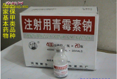 蛇病治疗药物配伍禁忌 抗生素治疗蛇病...