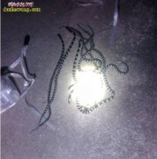 银环蛇介绍