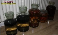 如何制作五步蛇酒