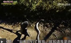 美国男子自制防护服 体验被亚马逊蟒蛇...