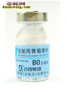 蛇会感冒吗？蛇感冒了怎么办？
