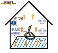 无冬眠养蛇 无冬眠养蛇技术