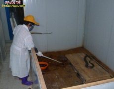 雷村蛇场老学员之子再次来学养蛇技术
