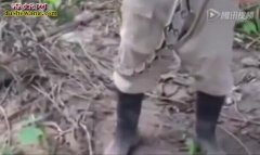 男子裤子内藏大蛇 小便时让其出来透气
