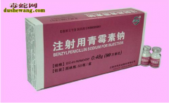养蛇场如何正确的使用青霉素