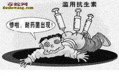 养蛇场给蛇治病也要算“经济账”