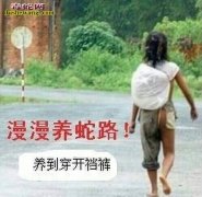 慢慢养蛇路，养到穿开裆裤【笑话】