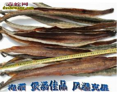 海蛇干