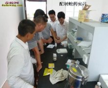 雷村蛇场养蛇技术培训421期实习花絮