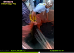 水蛇养殖技术视频