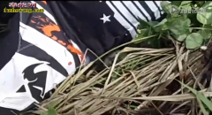 男子遇车祸摔倒在毒蛇身边！真倒霉！