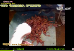 水律蛇视频