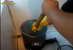 大补蛇羹汤做法太残忍！