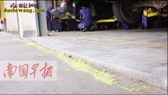 车间有毒蛇频频出没 牵出无证养蛇场