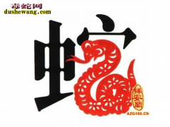 属蛇人2015年运程及破解 属蛇的今...