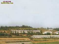 养蛇补助 特征养殖政府补贴