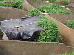 养蛇场的建造 养蛇场设计