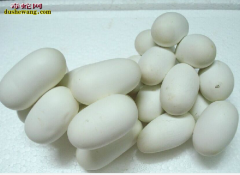 海南买水律蛇但能过关吗？买水律蛇蛋查...