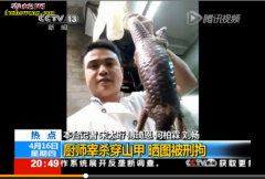 无知！广西男子网上晒宰杀穿山甲眼镜蛇...