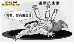 养蛇场蛇细菌病防治
