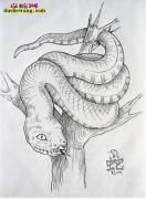 素描蛇图片