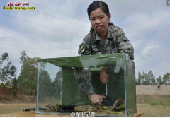 解放军女特种兵残酷训练曝光：蛇群中取...