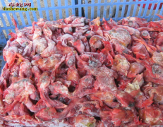 【王锦蛇吃什么】告诉您王锦蛇最喜欢吃...