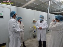 【养蛇技术培训】最新广西养蛇技术培训...