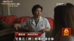 【蛇王养蛇】蛇王的养蛇经