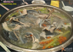 【蛇肉火锅店】