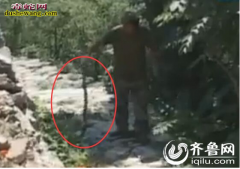 淄博山村田间地头闯进几百条蛇 村民称...